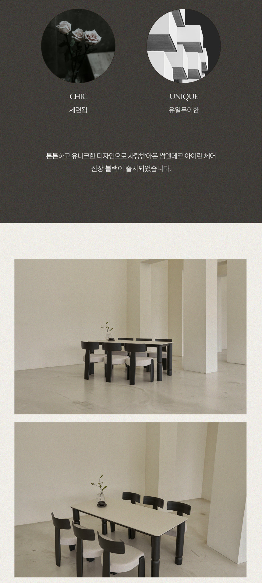 인테리어의자 > 아이린 애쉬 블랙 원목 카페 인테리어 식탁 의자 | 오늘의집 쇼핑