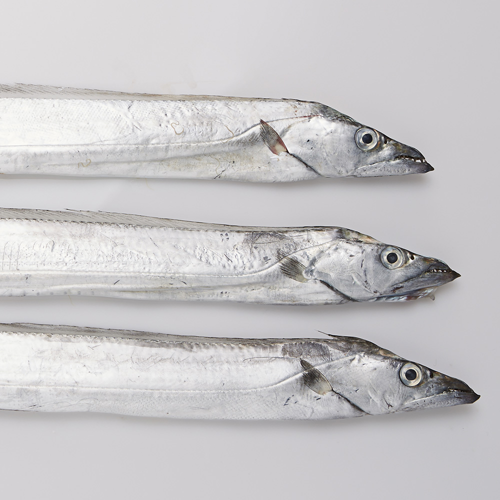 국내산 서해안 갈치 500g + 500g