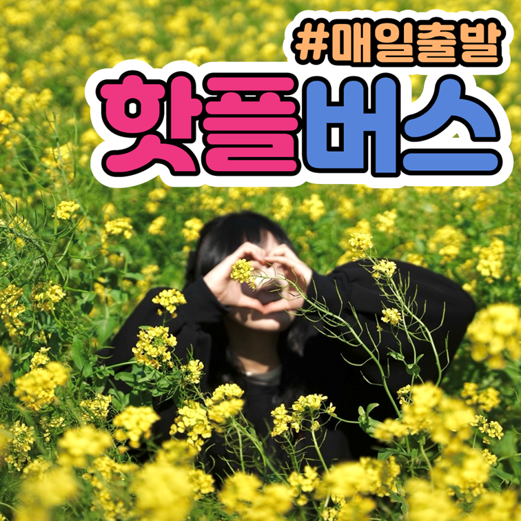 핫플트립 제주도버스투어 뚜벅이 패키지 일일여행 액티비티 우도전기차 택시 투어패스 제주유채 제품 이미지