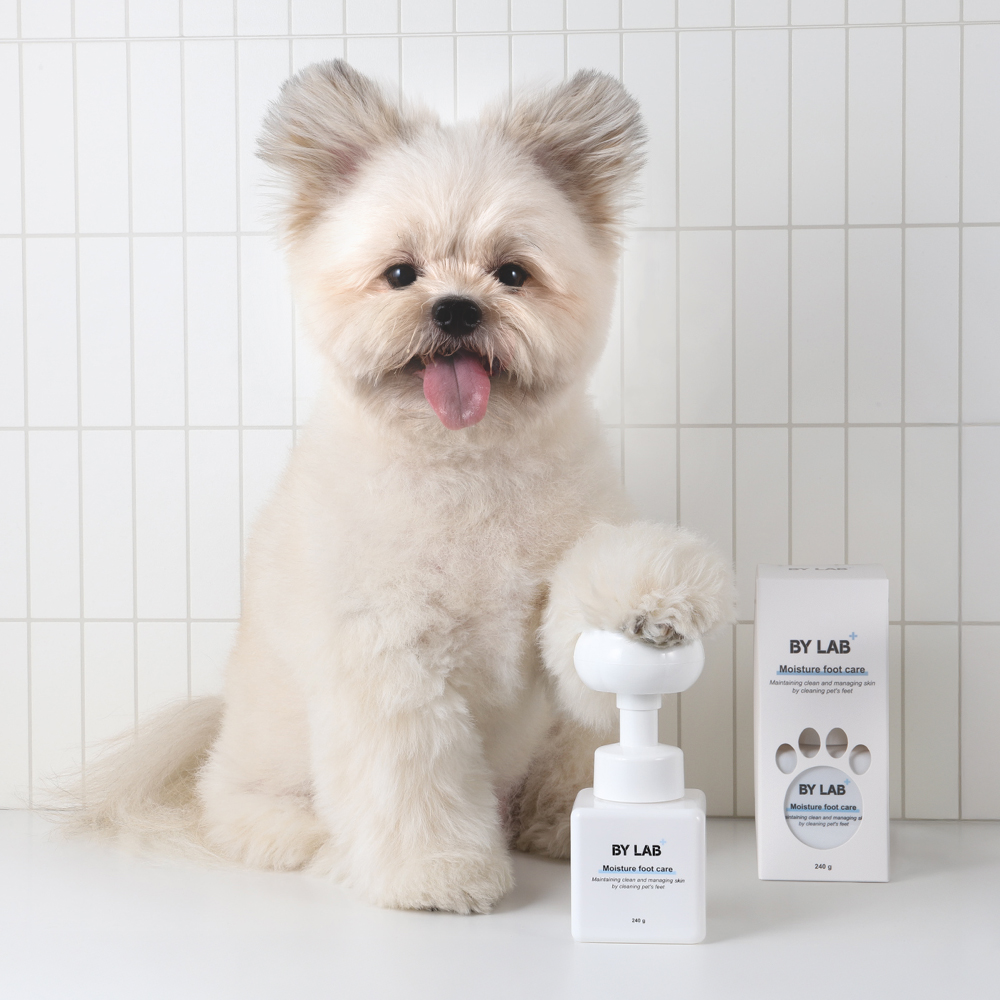 바이랩 수분풋케어 강아지 발바닥 세정제 산책 비누 발사탕 발 습진 샴푸 240g, 1개
