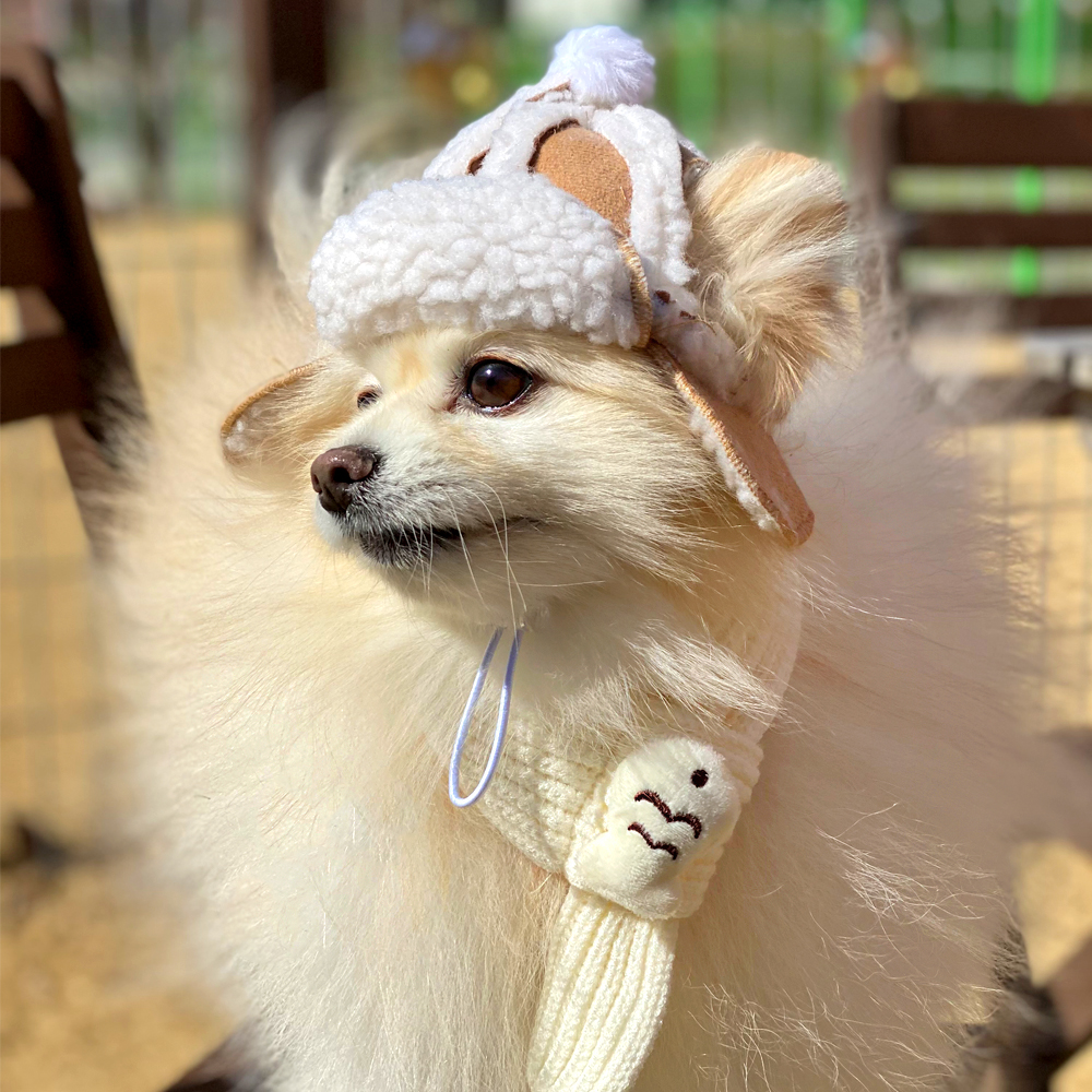 댕냥이 군밤 양털 모자 강아지 고양이 귀도리 반려동물 겨울