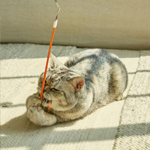 우다다맨숀 신발끈 낚시대 숏ver 리필 솔직 후기 | 실제 사용자 리뷰 총정리 - 상품 이미지 4