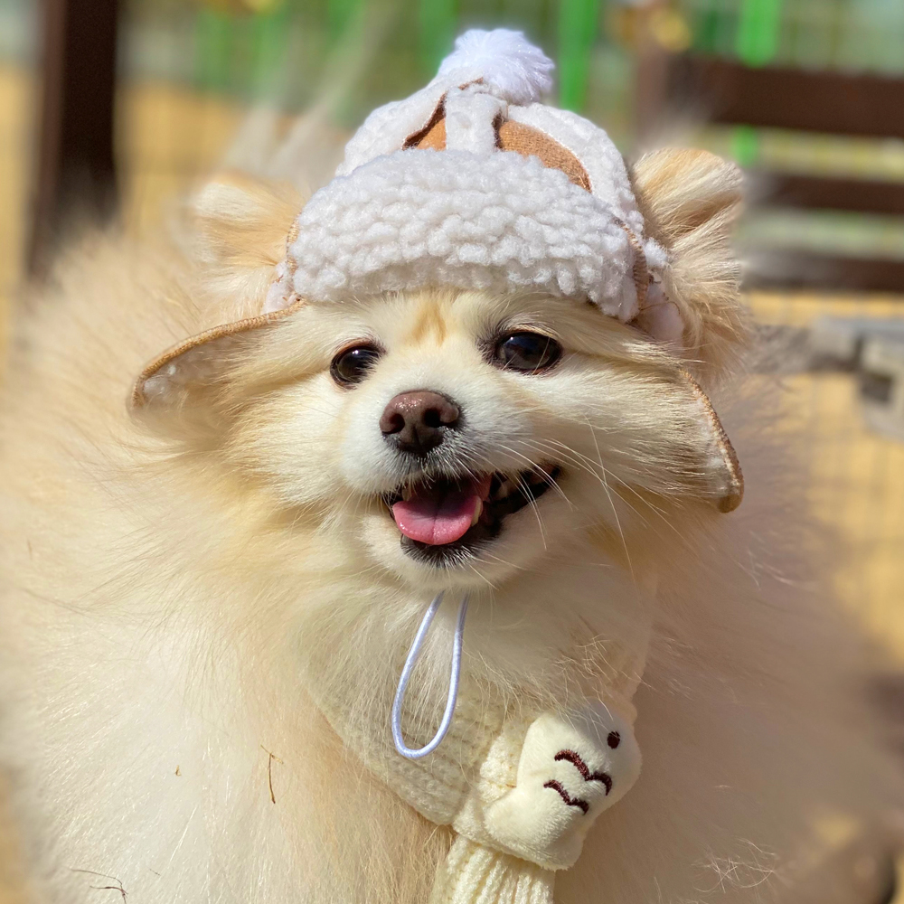 댕냥이 군밤 양털 모자 강아지 고양이 귀도리 반려동물 겨울