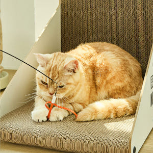 우다다맨숀 신발끈 낚시대 숏ver 리필 솔직 후기 | 실제 사용자 리뷰 총정리 - 상품 이미지 3