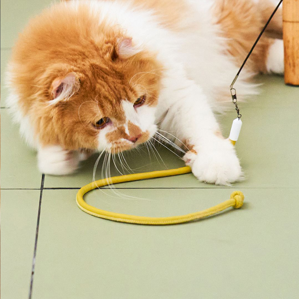 우다다맨숀 뚱뚱이 레더끈 4단 170cm 낚시대 솔직 후기 | 실제 사용자 리뷰 총정리 - 대표 이미지