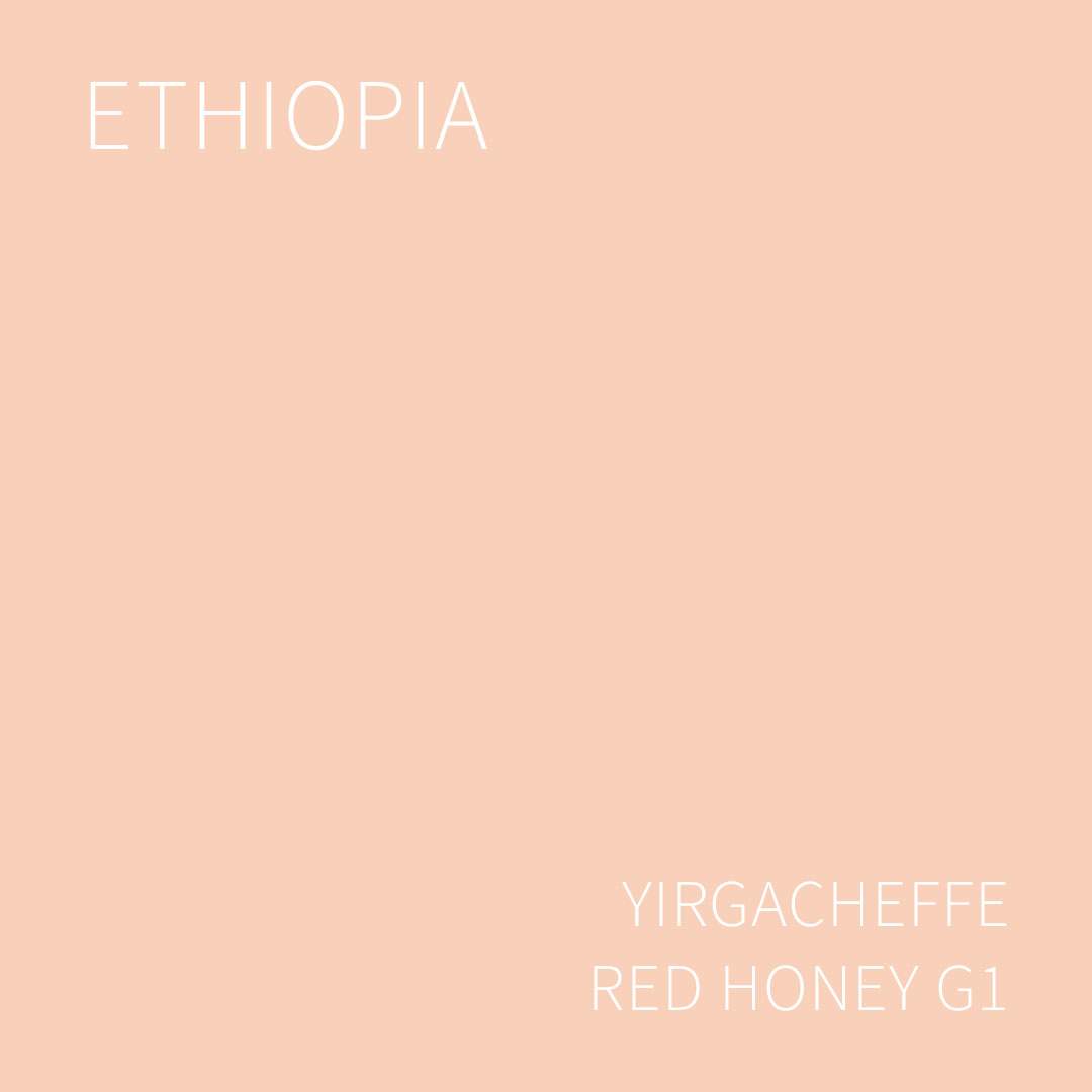 에티오피아 예가체프 레드 허니 G1 5KG (ETHIOPIA YIRGACHEFFE RED HONEY)