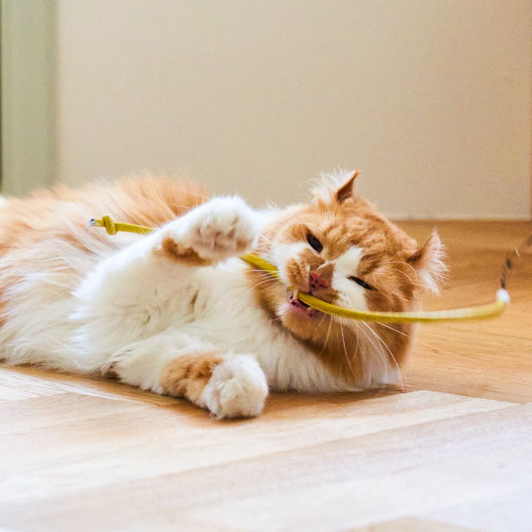 우다다맨숀 뚱뚱이 레더끈 4단 170cm 낚시대 이미지 4