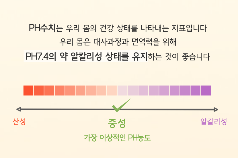 말초산 고체애사비 에사비 애플 사이다 비니거정 애사비 정 알약 60정 - 상세 이미지 2