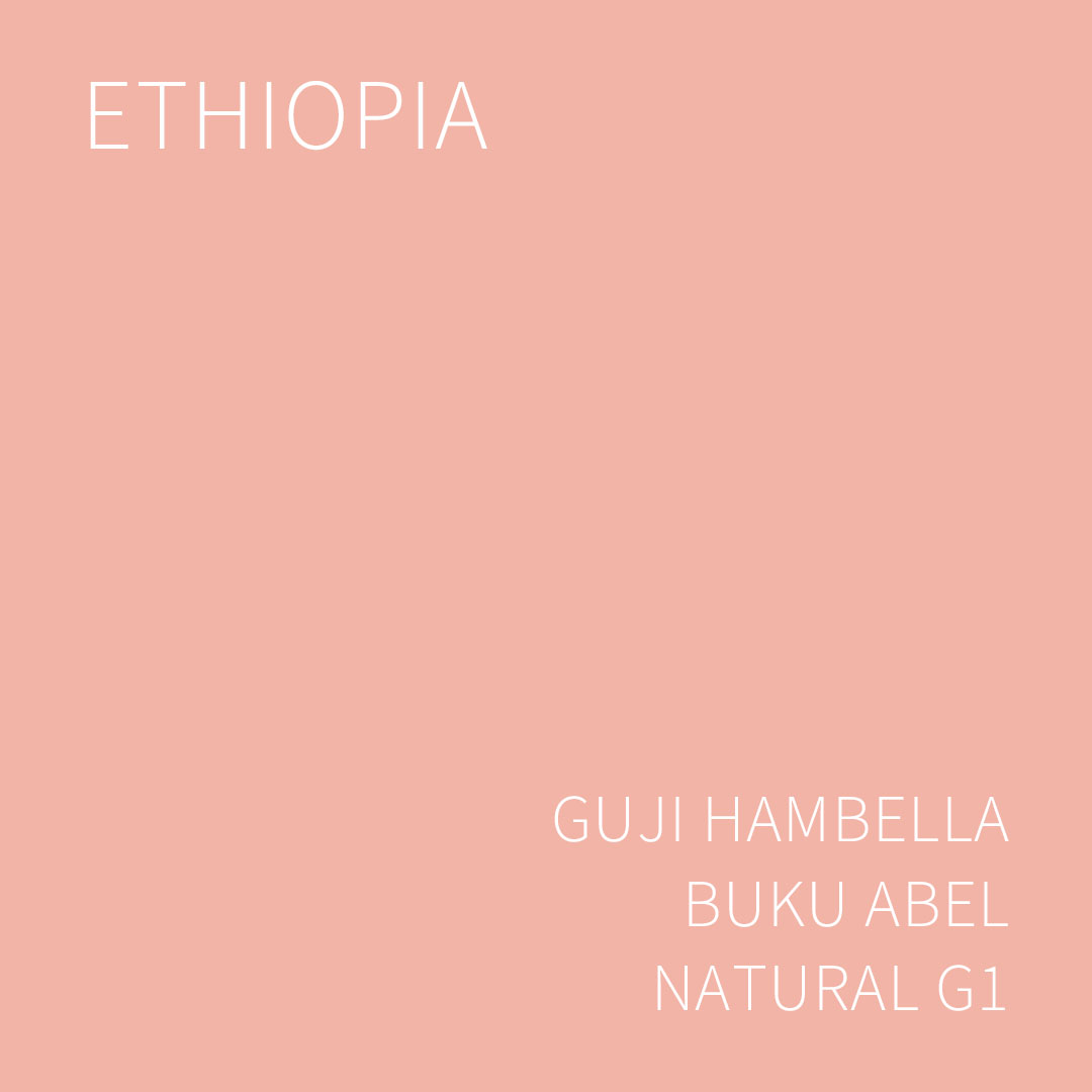 에티오피아 구지 함벨라 부쿠 아벨 내추럴 G1 5KG (ETHIOPIA GUJI HAMBELLA BUKU ABEL NATURAL)