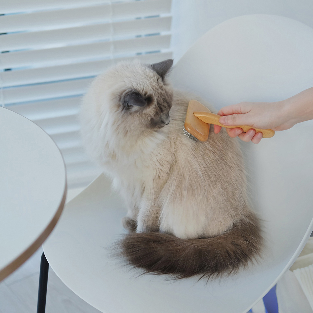 내핑하우스 고양이 시원한 원목 브러쉬 - 상세 이미지 2