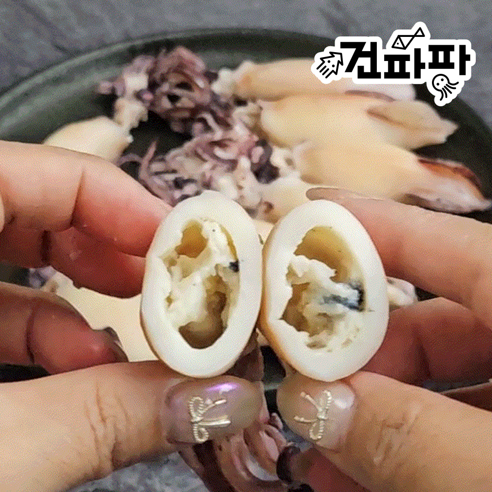 내장가득 통찜용 선동 손질 총알 한치 500g 1팩 이미지 7