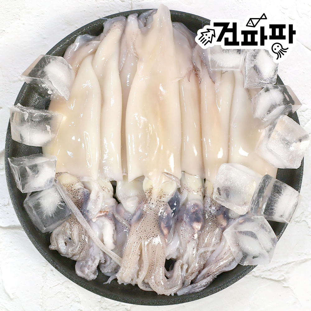 내장가득 통찜용 선동 손질 총알 한치 500g 1팩 - 상세 이미지 3