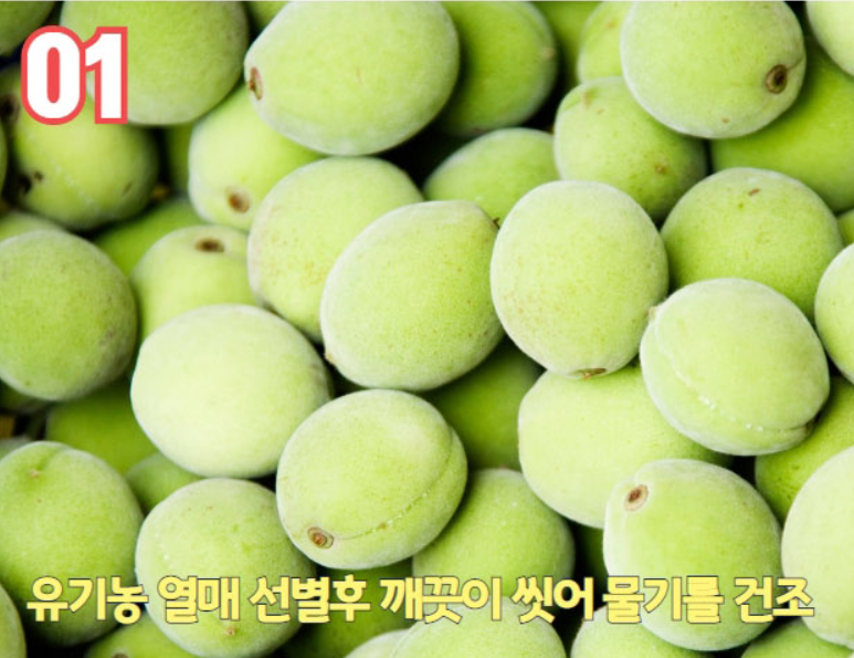 매실청매실액 수제 발효 전통방식 엑기스원액 600ml - 상세 이미지 4