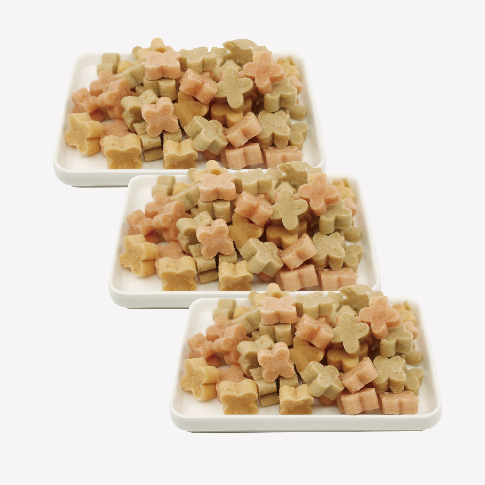 노즈워크, 훈련용 간식 냠냠이 부드럽고 씹기 좋은 강아지 수제간식 연어, 100g, 3개 - 상품 이미지
