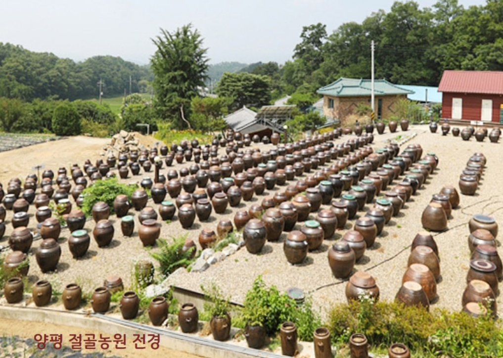 매실청매실액 수제 발효 전통방식 엑기스원액 600ml - 상세 이미지 3