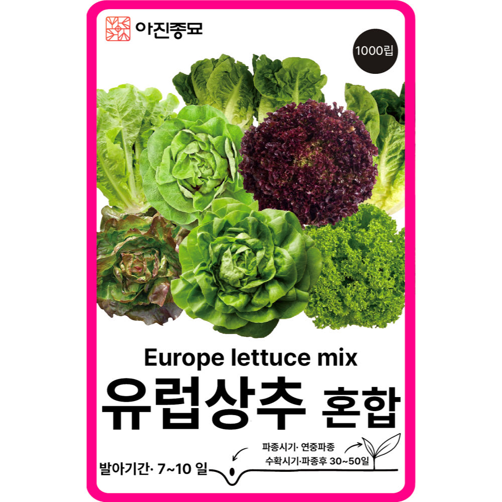 유럽상추 씨앗 1000립 혼합 쌈 채소씨앗 버터헤드 로메인 바타비아 가격 추이 아진종묘 꽃씨몰 유럽상추 씨앗 1000립 혼합 쌈 채소씨앗 버터헤드 로메인 바타비아 - 최저가 2,000원