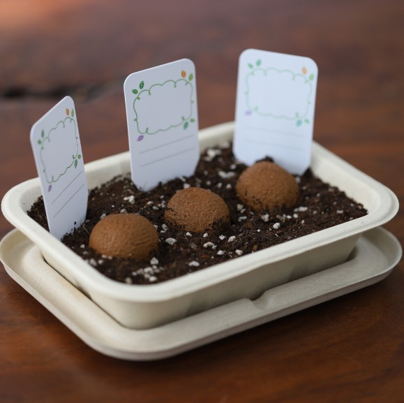 씨드볼만들기 kit 방울토마토 스위트바질 미니해바라기 나팔꽃 봉선화 패랭이꽃 새싹 키트 - 상세 이미지 5
