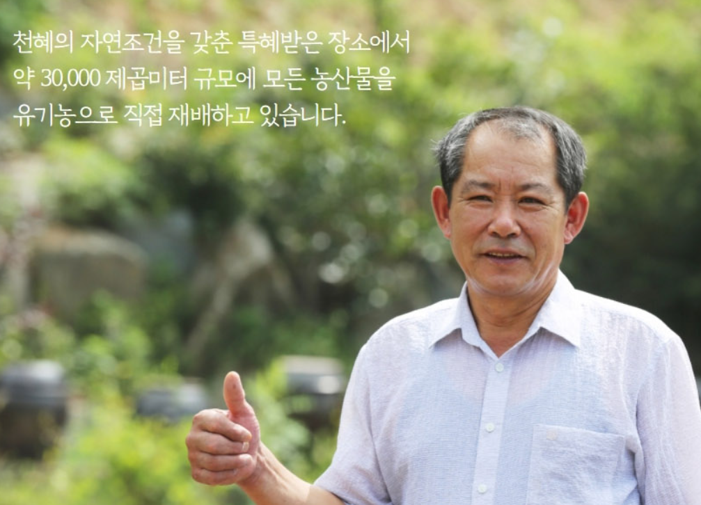 매실청매실액 수제 발효 전통방식 엑기스원액 600ml - 상세 이미지 2