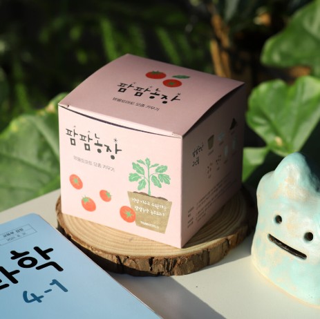 방울토마토 모종키우기 팜팜농장 친환경 지피포트 식물기르기 식물관찰 세트 - 상품 이미지