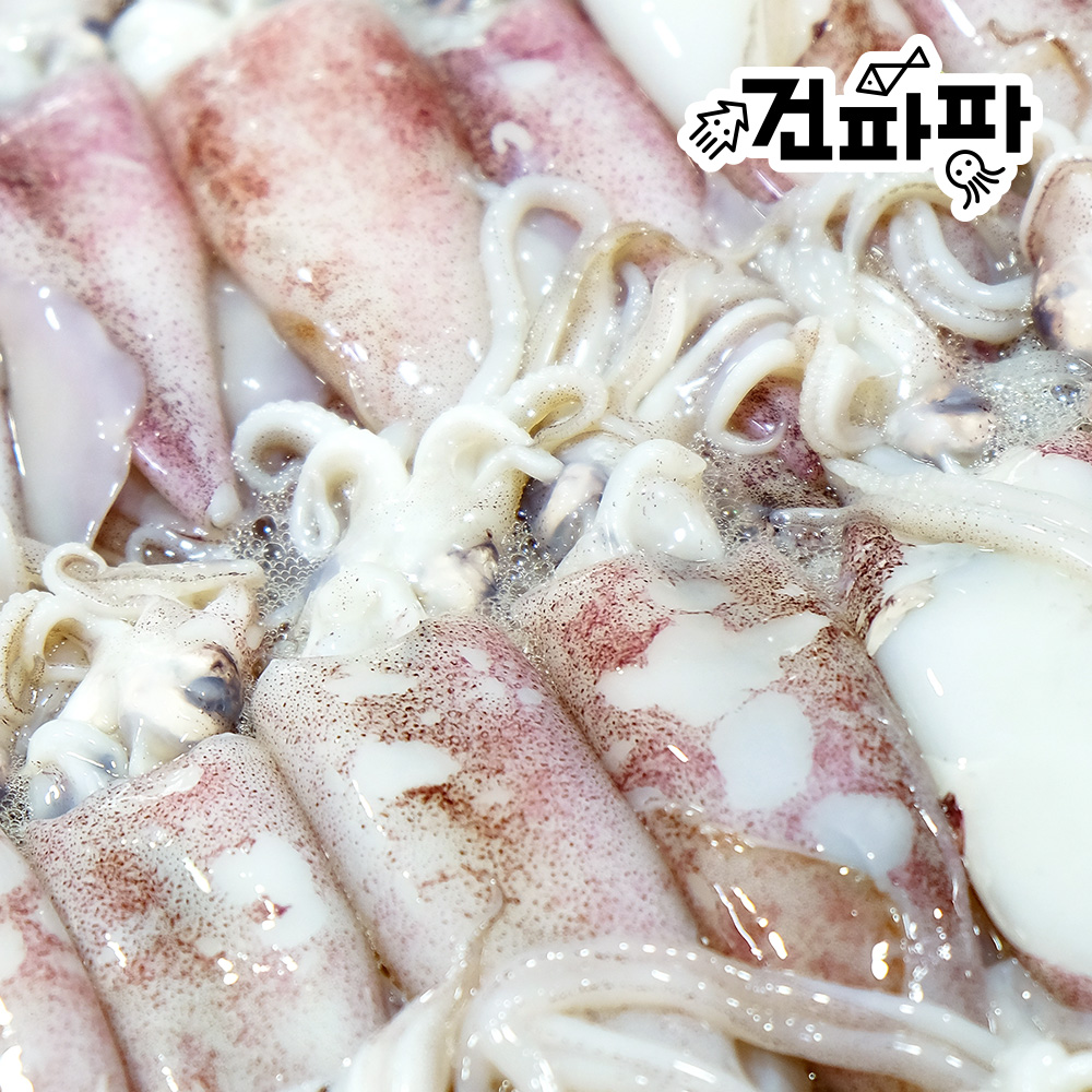 내장가득 통찜용 선동 손질 총알 한치 500g 1팩 - 상세 이미지 2