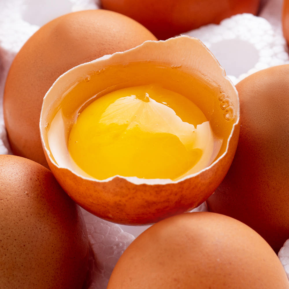 난각번호 1번 무항생제 유정란 자연방사 계란 20구