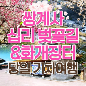 [KTX]2026 화개장터 벚꽃축제&쌍계사 십리벚꽃길 당일 국내 기차여행... 솔직 후기 | 실사용자 리뷰 분석 - 상품 이미지 1
