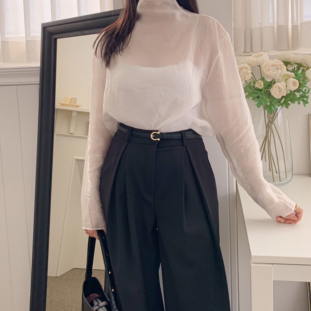 하이넥 새틴 시스루 블라우스 - 상품 이미지
