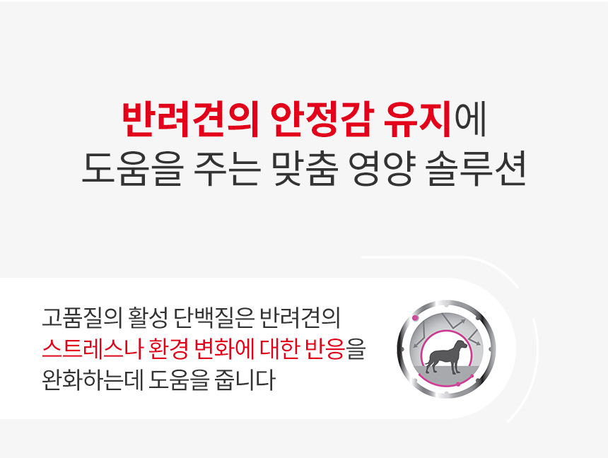 [유통기한 임박 25.12.06] 로얄캐닌 독 릴랙스케어, 85g, 12개 이미지 7