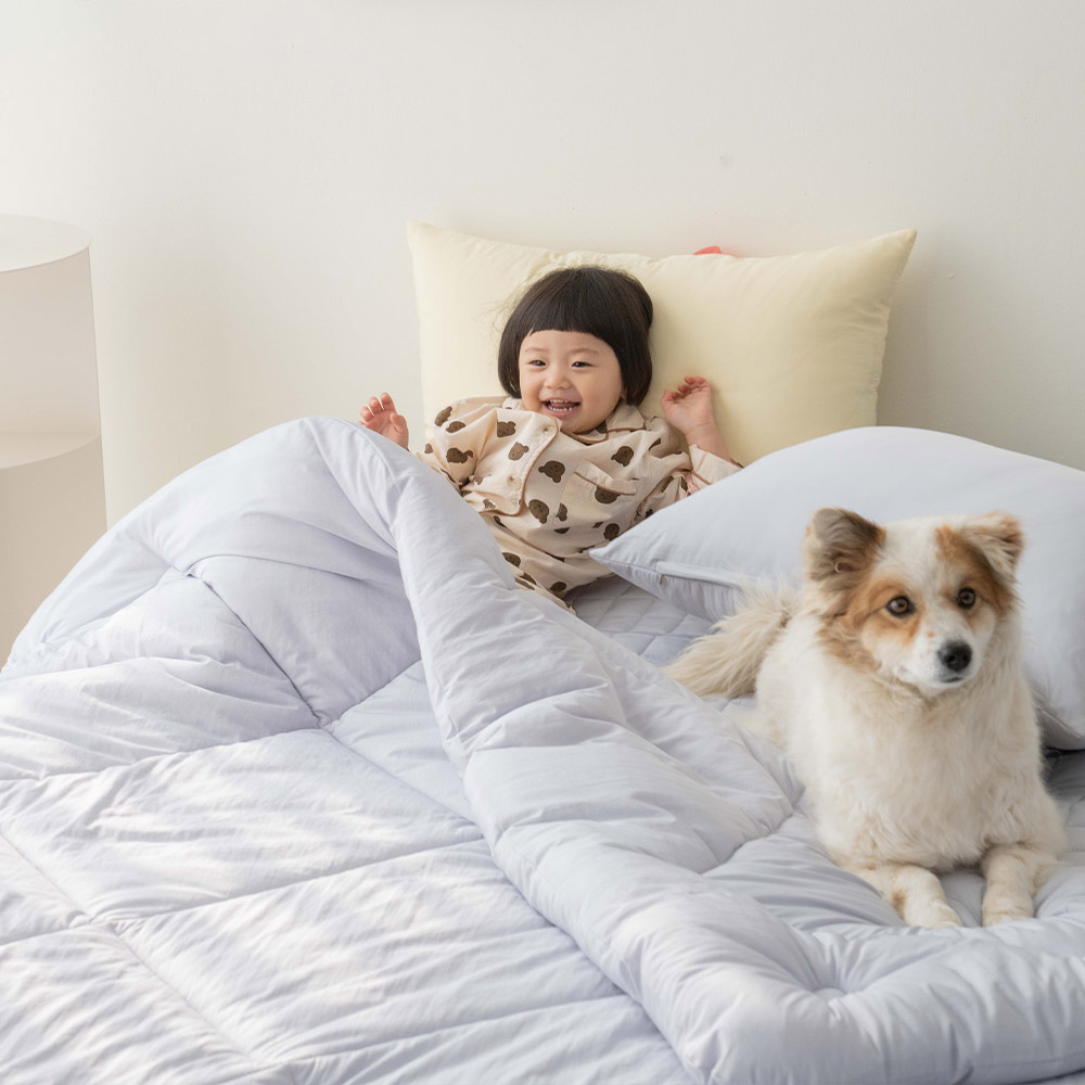 마이크로워싱 털안붙는 알러지케어 구름 옥수수솜 가을 겨울 차렵 이불 브랜드 SS