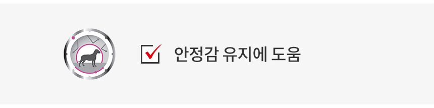 [유통기한 임박 25.12.06] 로얄캐닌 독 릴랙스케어, 85g, 12개 - 상세 이미지 4