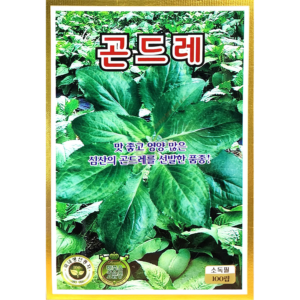 곤드레 100립 KS 25년 곤드레씨앗 : 제일농약사