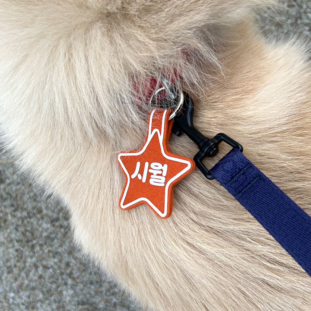(소형)강아지 네임택 강아지 인식표 전사네임택 이름표 반려견 명찰 별형 - 상세 이미지 5