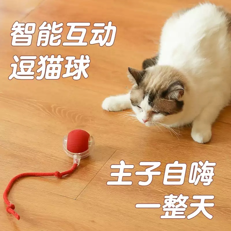 고양이 움직이는 장난감 자동 강아지 캣볼 애완동물 선물 꼬리잡기 놀이 쥐 - 상세 이미지 3