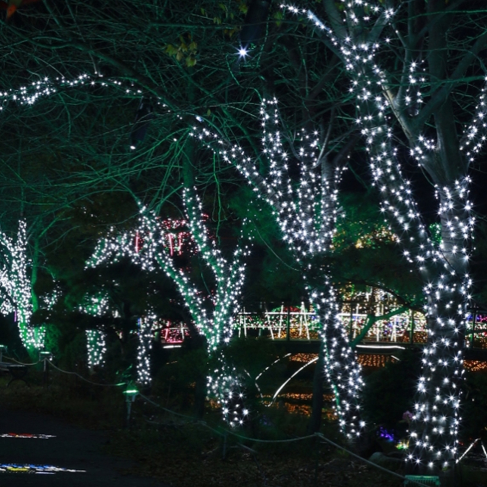 LED 지니전구 녹색선 지네전구 가로수 테라스장식 줄조명 50M