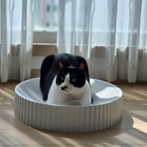 루시몰 고양이 원형 스크래쳐 화이트 52cm 솔직 후기 | 실제 사용자 리뷰 총정리 - 상품 이미지 1