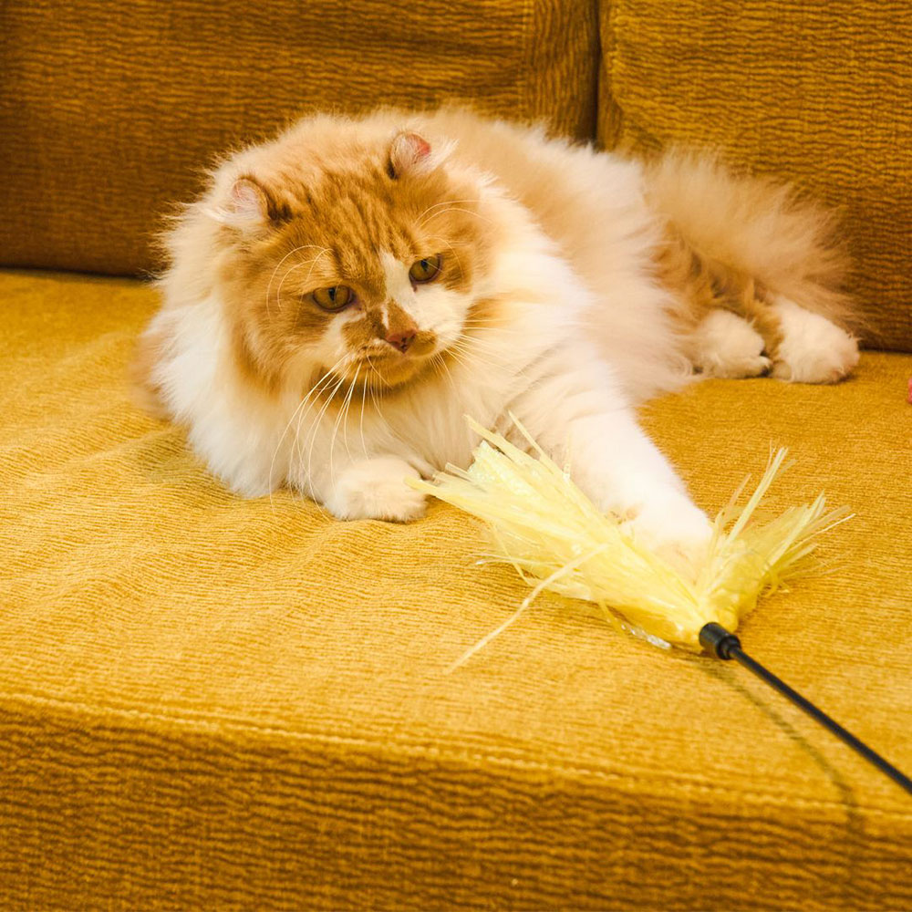 우다다맨숀 바스락 빗자루 낚시대 이미지 3