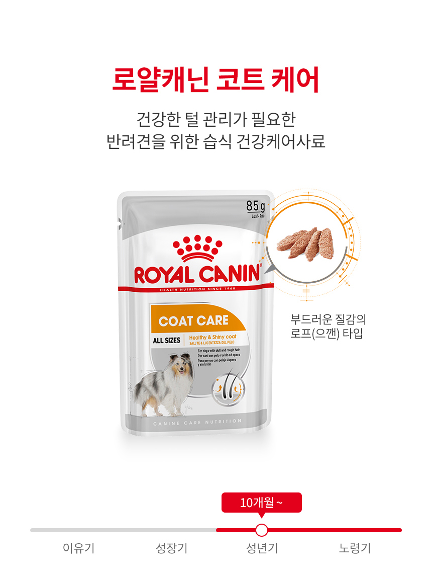 로얄캐닌 독 코트케어, 85g, 12개 - 상세 이미지 3