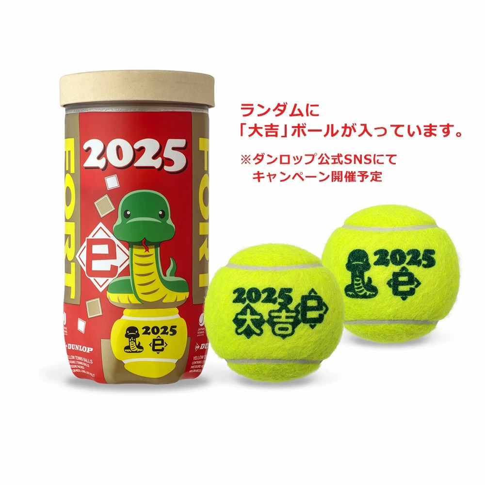 던롭 DUNLOP 테니스볼 테니스 공 60구 2025 신년기념 DFF25ETOYL2DOZ - 상세 이미지 3