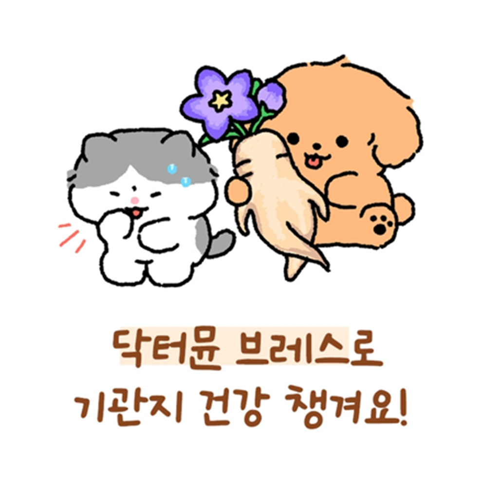 닥터뮨 브레스 1.5g 40포 2박스 강아지 고양이 겸용 기관지 호흡기 켁켁 쌕쌕 거림 - 상세 이미지 5