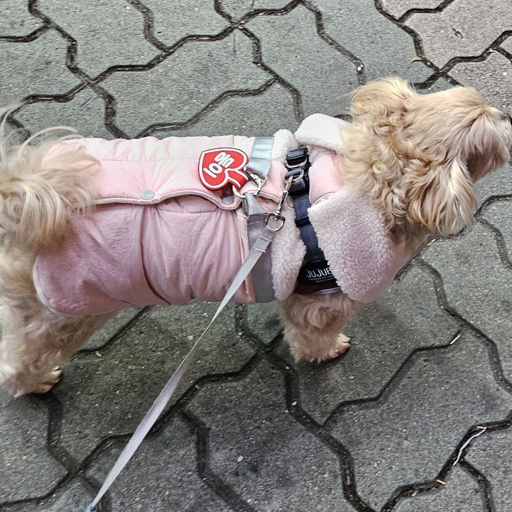 (소형)강아지 네임택 강아지 인식표 전사네임택 이름표 반려견 명찰 하트형 이미지 6