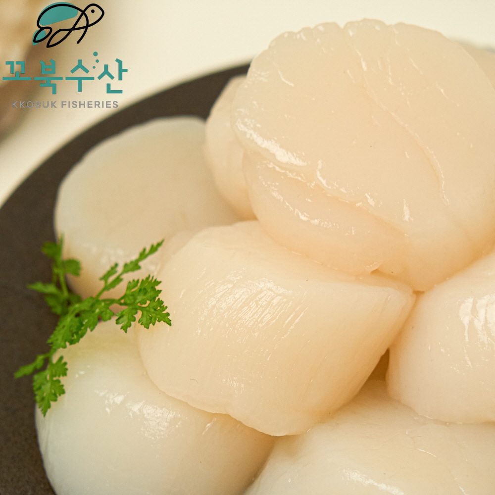 가리비 관자 500g 냉동 손질 원물 가리비 - 상세 이미지 5