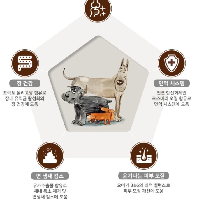 강아지가 좋아하는 도그랑 클래식 5kg - 상세 이미지 2