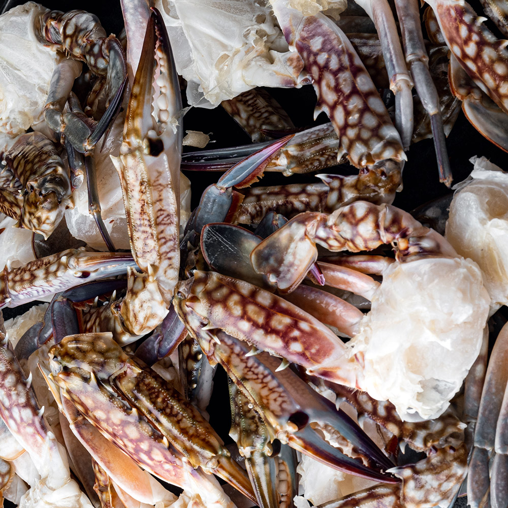 국내산 손질 절단꽃게 350g + 350g