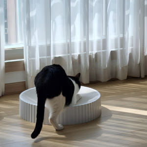 루시몰 고양이 스크래쳐 원형 대형 리필 52cm 왕특대형 기본 솔직 후기 | 실제 사용자 리뷰 총정리 - 상품 이미지 4