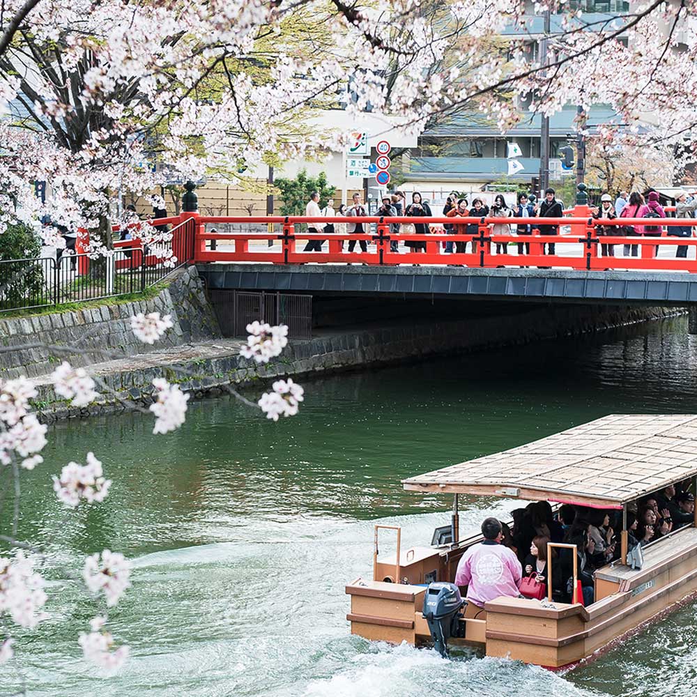 [오사카/금토일운행] 교토 나라 사슴공원 동대사N아라시야마N청수사 1일 버스투어 유투어버스