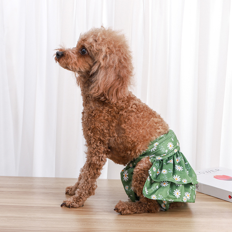 위드레오 강아지 고양이 생리팬티 기저귀 생리대 배변패드 위생팬티 퍼플데이지 XS - 상세 이미지 5
