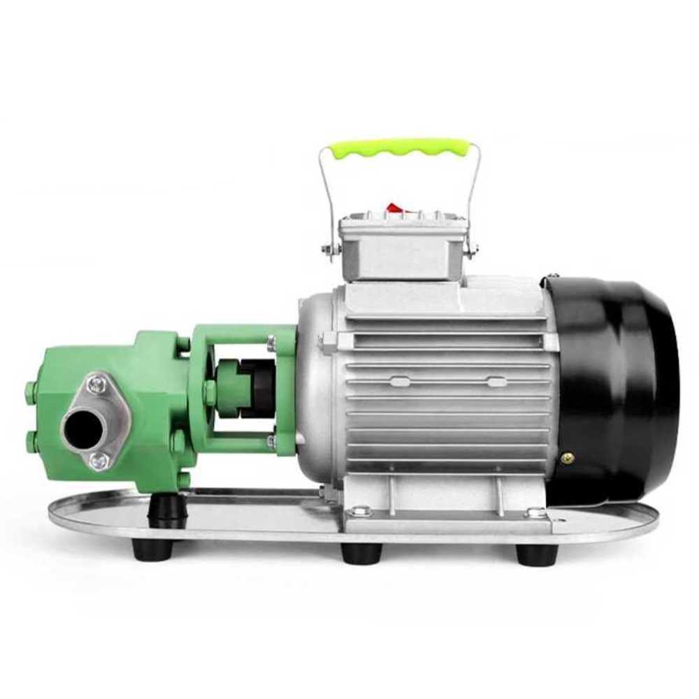 전동 오일 펌프 고점도 기름 이송 자흡식 디젤 산업용 370W 220V - 상품 이미지