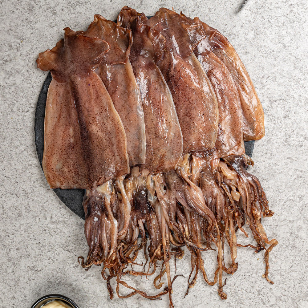 직접 말린 반건조 피데기 오징어 5미 (450g 내외 / 국내가공 / ICE BOX 배송)