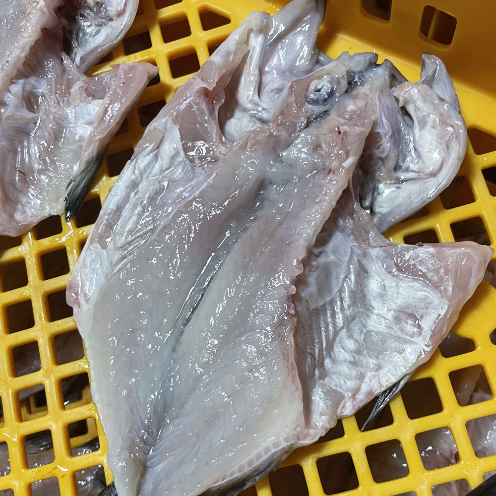 자연산 반건조 우럭 1.5kg 말린우럭포 10마리 제수용 생선구이 매운탕용 건우럭 볼락 - 상세 이미지 2