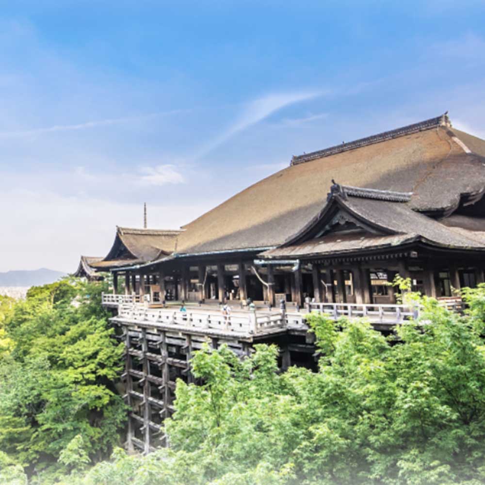 [오사카/금토일운행] 교토 나라 사슴공원 동대사N아라시야마N청수사 1일 버스투어 유투어버스